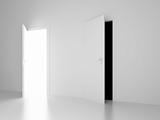 white and black open doors of future