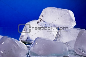 Ice cube  (YQ)