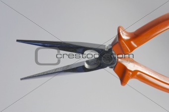 Needle-nosed pliers  (TQ)
