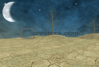 virtual desert