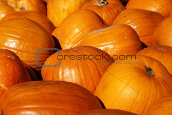 H_2758 pumpkins