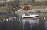 Norwegian fishing boat