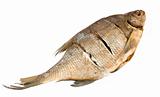 stockfish 1