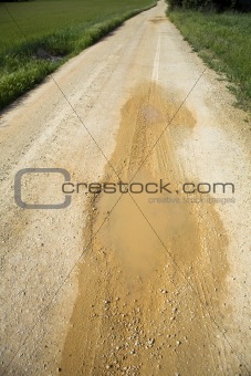 puddle in the track