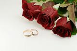 two wedding rings with three red beautiful roses