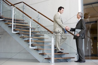 Two business consultants shaking hands