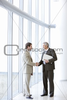 Two business consultants shaking hands
