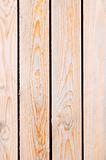 Raw wooden texture