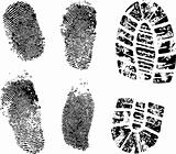 fingerprints and bootprint
