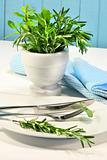 Fresh green herbs on a table