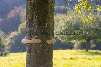 Woman embracing a tree