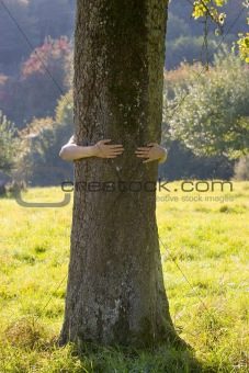 Woman embracing a tree