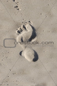 Footsteps 01