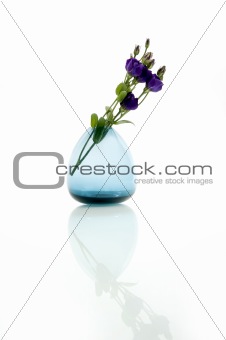 Pastel flowers in vase