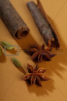 spices, cinnamon sticks, cardamom, anise, star