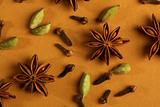 indian spices - cinnamon, cloves, star anise