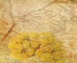 background image with Grapes