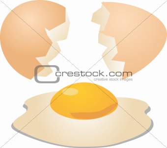 Eggs cracked open