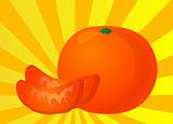 Orange segment illustration