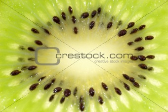 Kiwi slice closeup