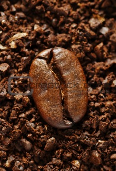 ground coffee bean