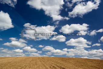 Ploughed field.