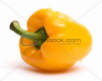 Yellow paprika with water drops over white
