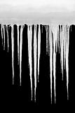 icicles isolated on black