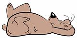 lazy bear cartoon