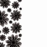floral banner black