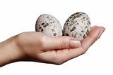 Motley eggs on female hand isolated on white