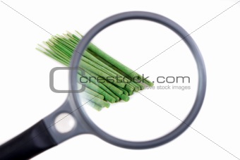 Incense sticks seen through magnifier.Isolated on white background.