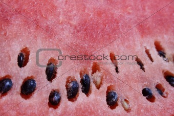 Watermelon closeup