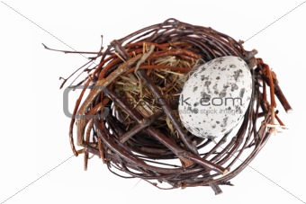 Motley eggs at bird's nest isolated on white background