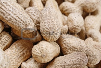 Peanut background