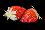 Strawberries isolated on black background
