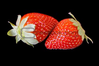 Strawberries isolated on black background