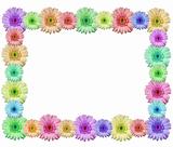 Colorful flower frame