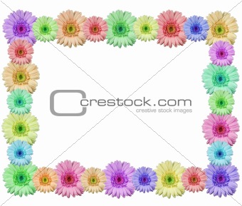 Colorful flower frame