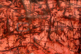 Rusted Scratches on Red
