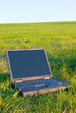 Laptop in a meadow