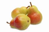 Tree pears