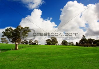 Rural Green Meadow