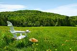 White adirondack chair in a field of tall grass