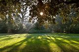 Park of castle of Chenonceau