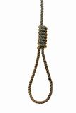the noose