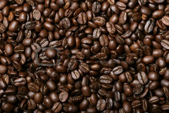 fresh coffee beans background