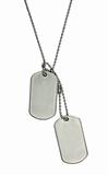 Army tags on white