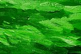 Green oil paint background