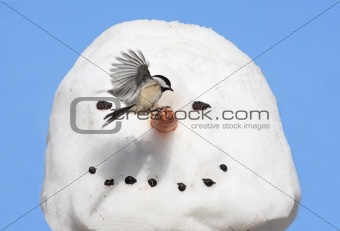 Bird On A Snowman